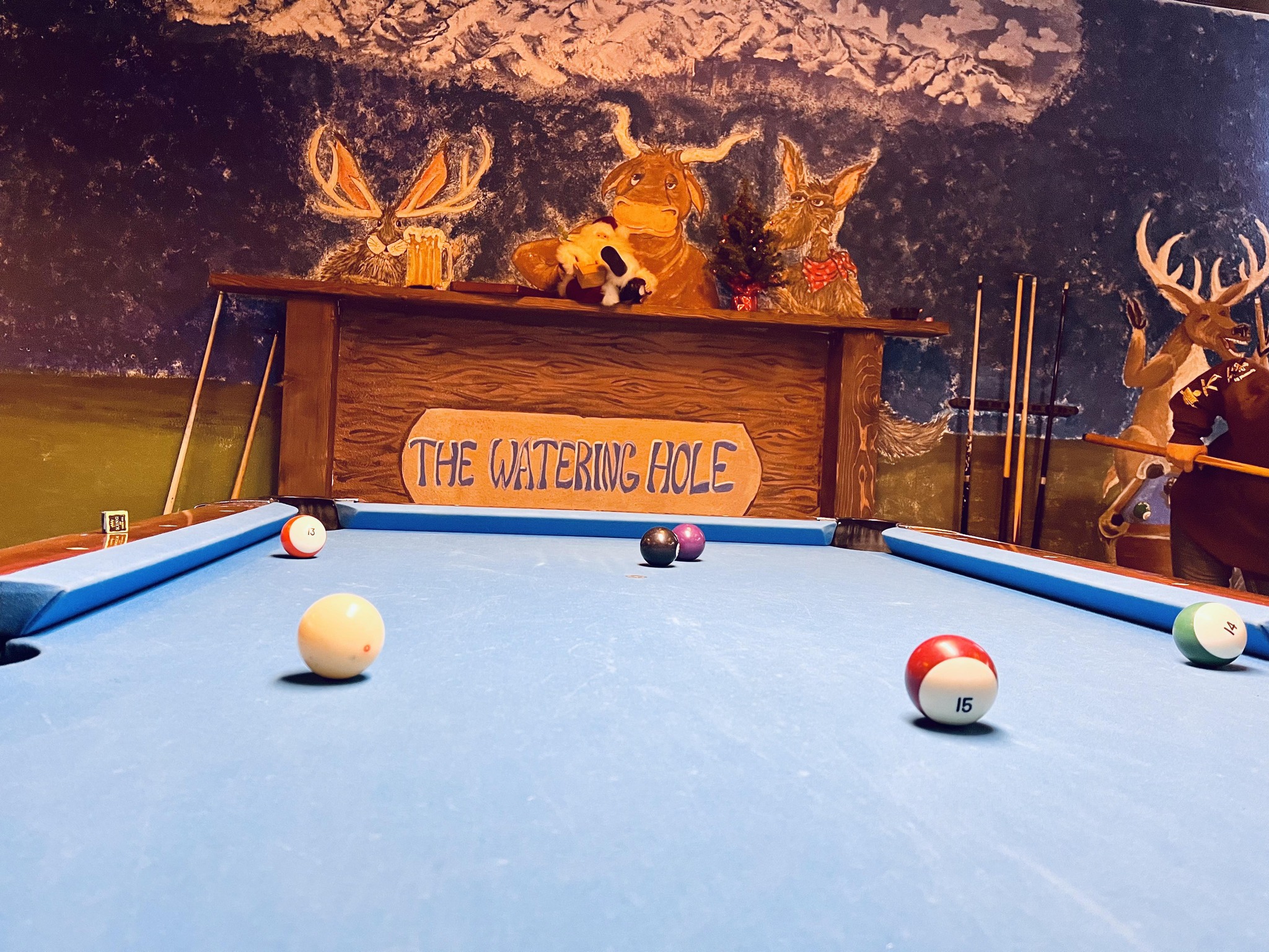 The Waterning Hole pool hall exterior/interior